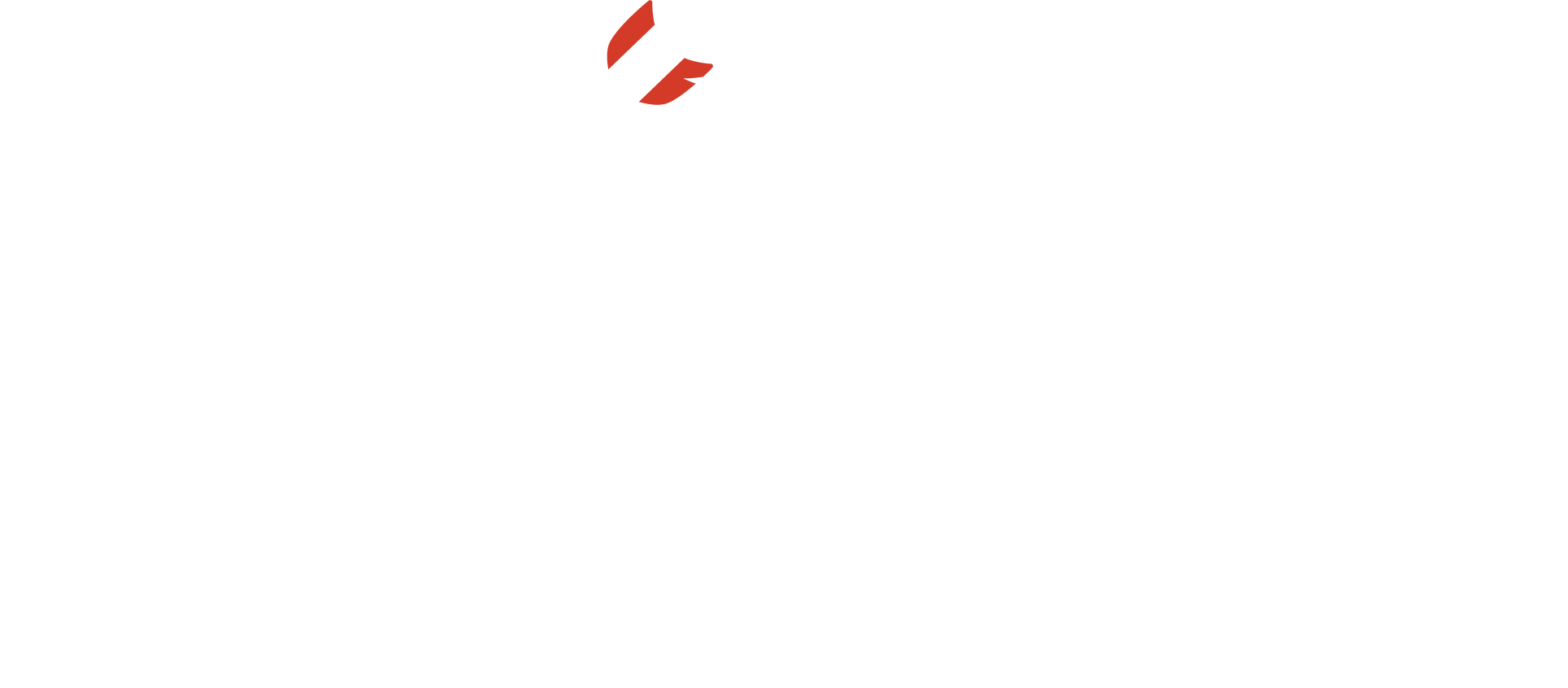 NFAA Logo